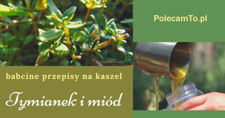PolecamTo.pl-tymianek-miod-przepisy